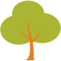 Drawing of a tree Drawing of a tree