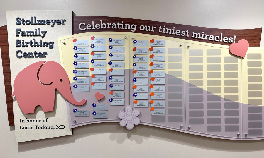 Baby Celebration Wall