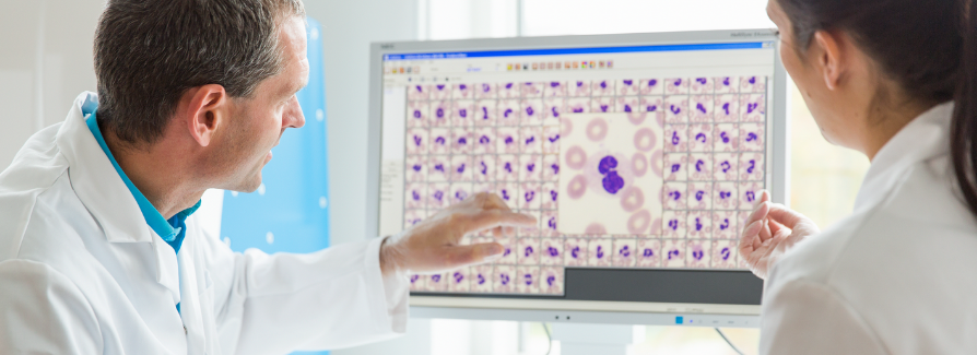 Two Lab Technicals looking at CellaVision diagnostics screen