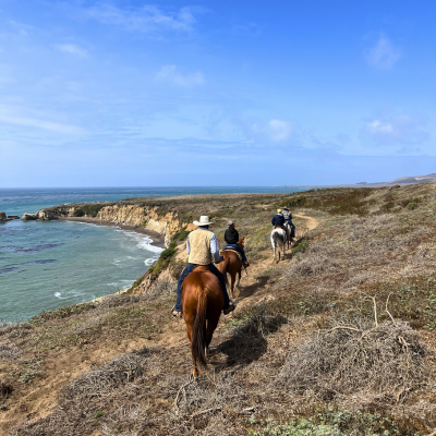 Three horses and riders on a coastal trail ride