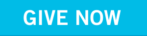 Give Now blue button Give Now blue button