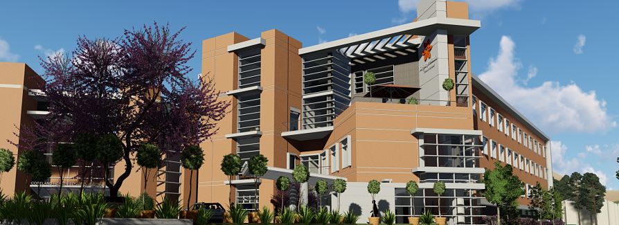 Your New French Hospital