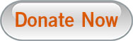 Donate Now button Donate Now button